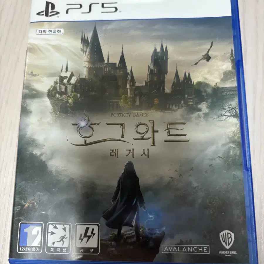 PS5 호그와트레거시 (코드사용)