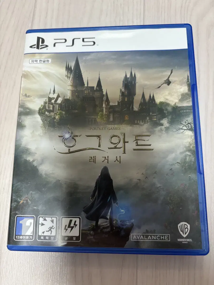 PS5 호그와트레거시 (코드사용)