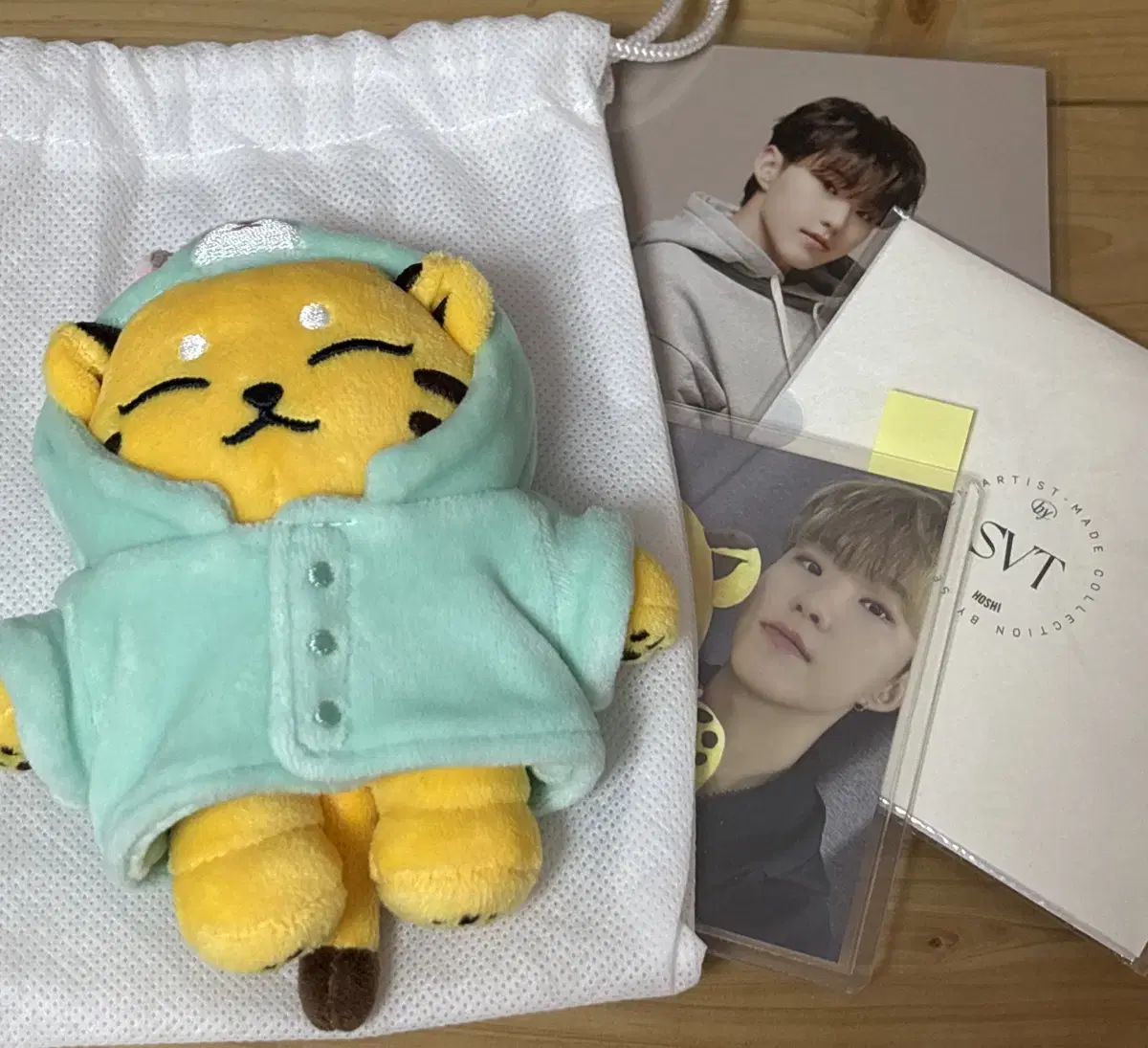 Price with shipping today only)seventeen hoshi doll tamtam yi wts