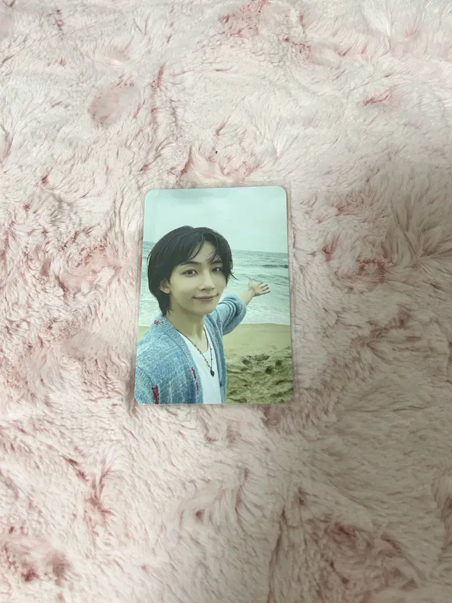 seventeen mini 12집 사돈명 alfo you버전 jeonghan wts