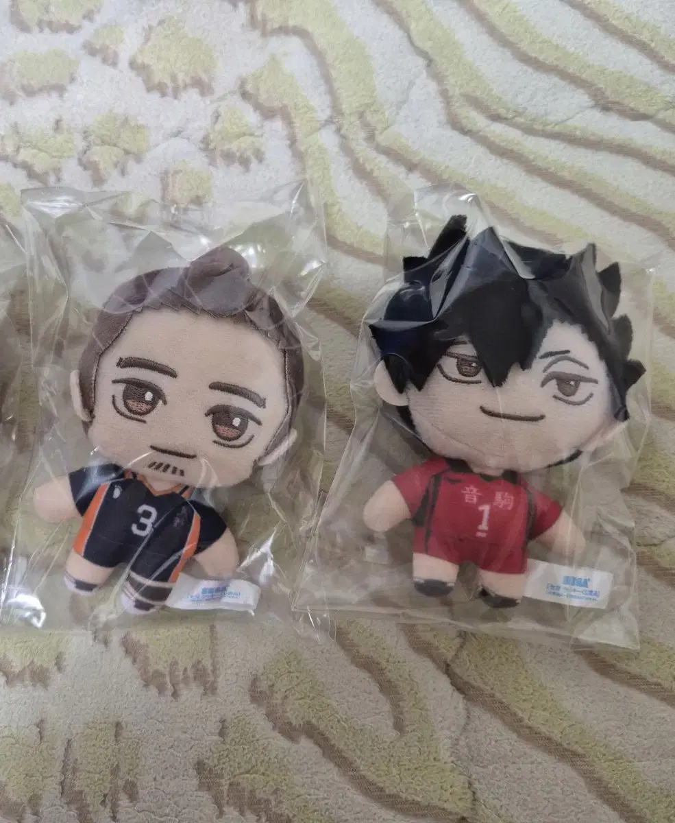 Haikyuu Segakuji B-san Nui Kuroo, sold at asahi 