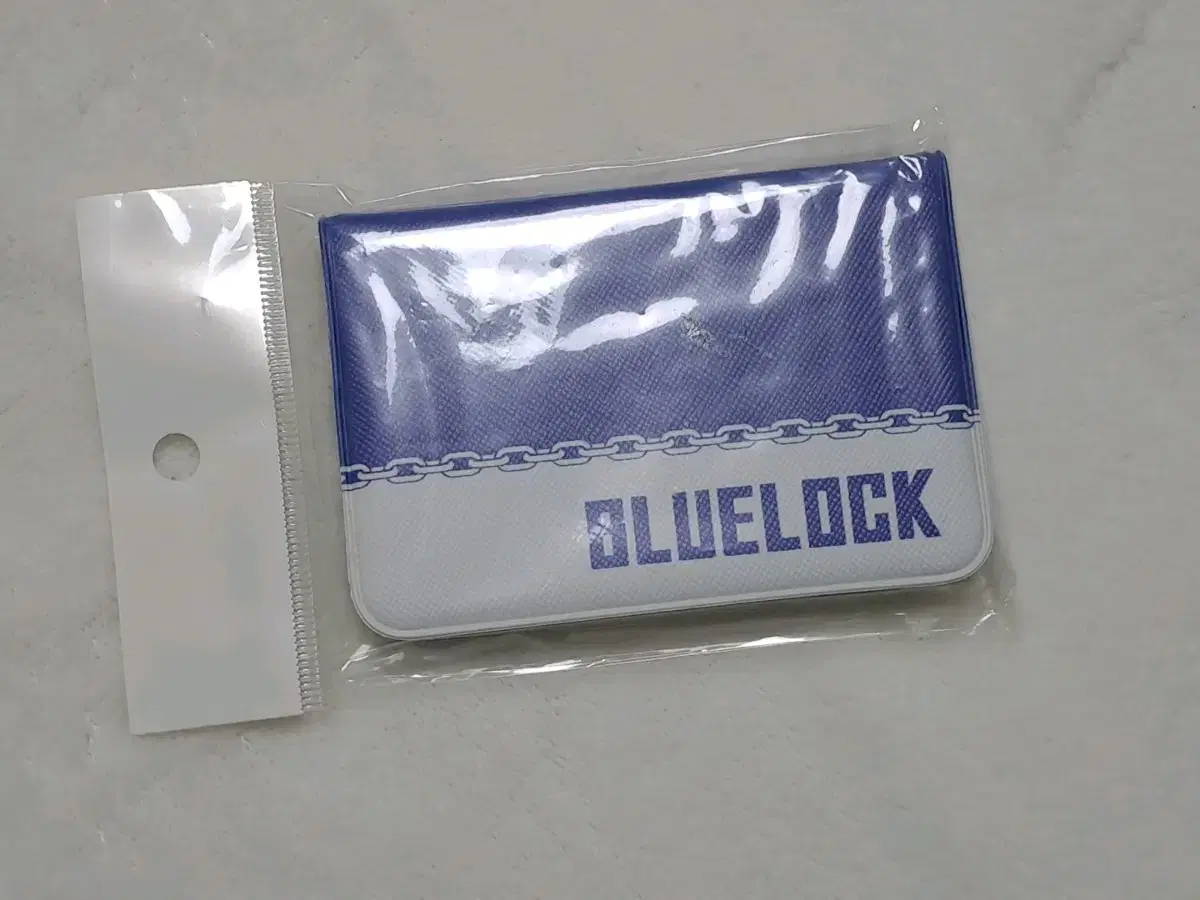 BLUELOCK AnyPlus Collaboration Kard Wallet