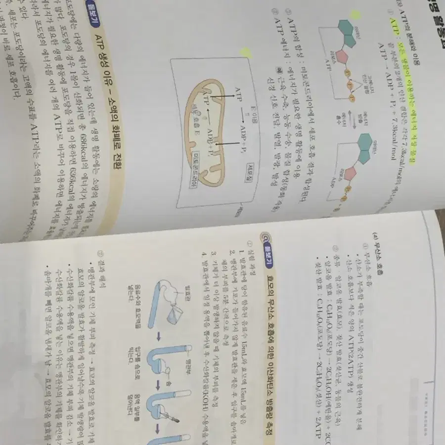 백호 개념완성