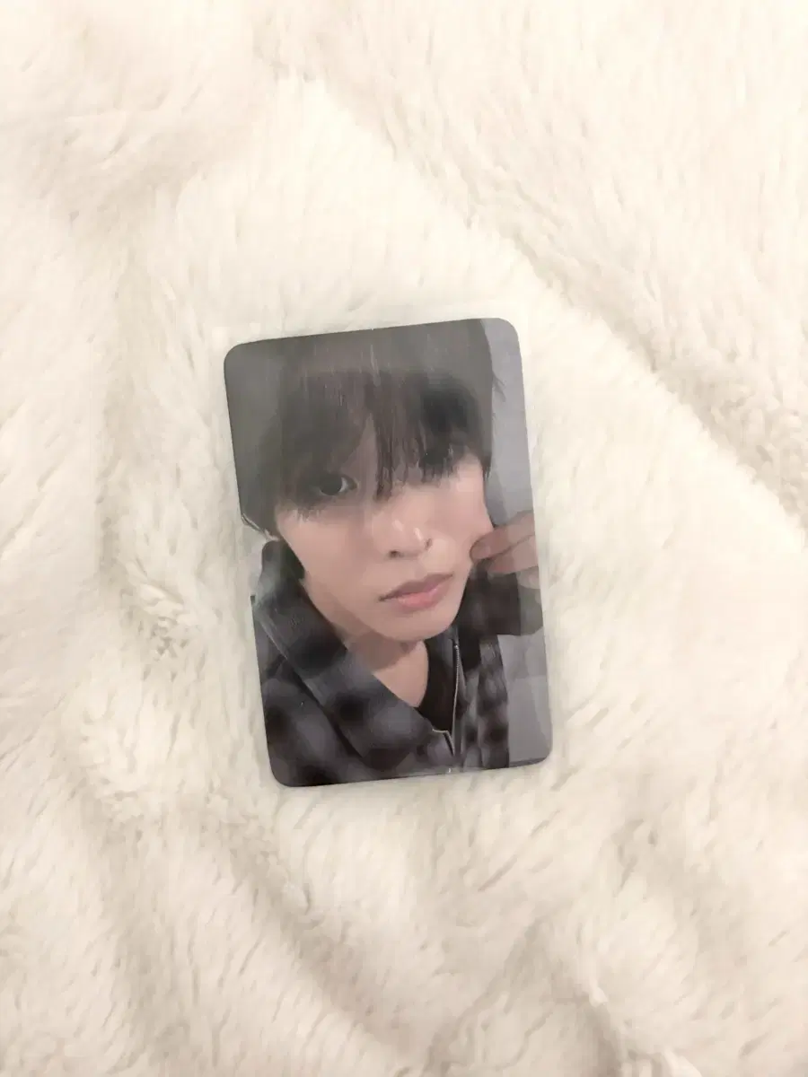 Everline riku Steady photocard sell Unreleased Photocard