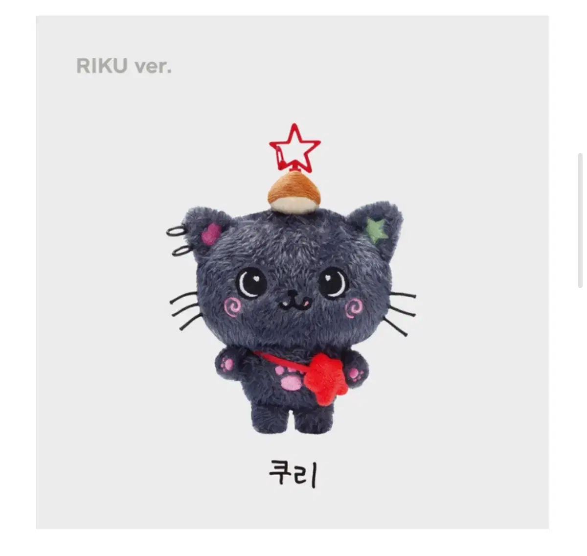 NCT wish pop up riku doll Kuri