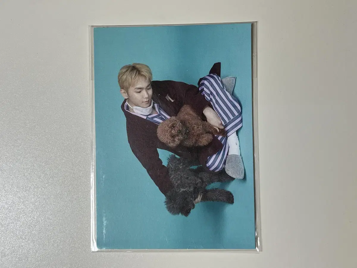 Shinee key season's greetings 2020 pre-order benefit Postcard