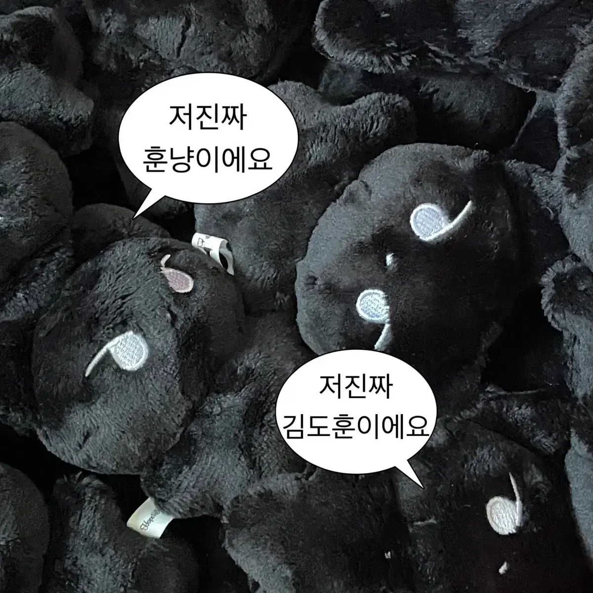 투어스 도훈 인형 10cm 훈냥이 양도