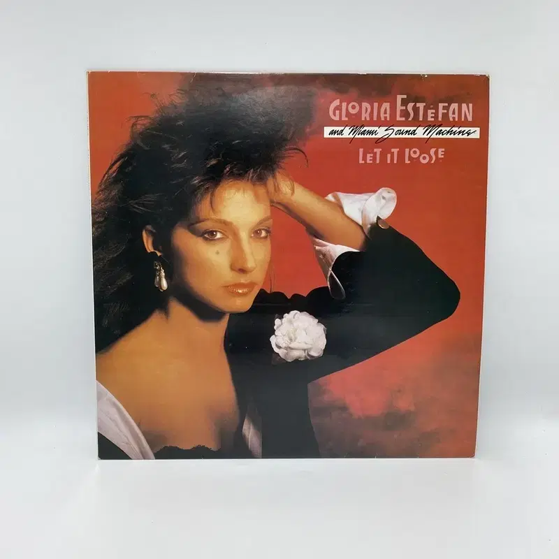 GLORIA ESTEFAN LP / AA6317