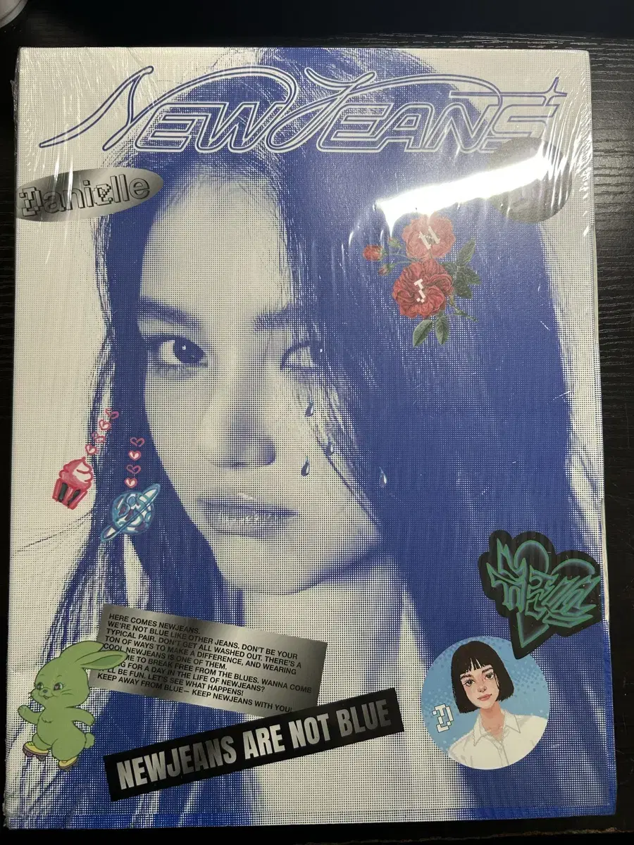 New Jeans Bloo Book danielle version sealed album