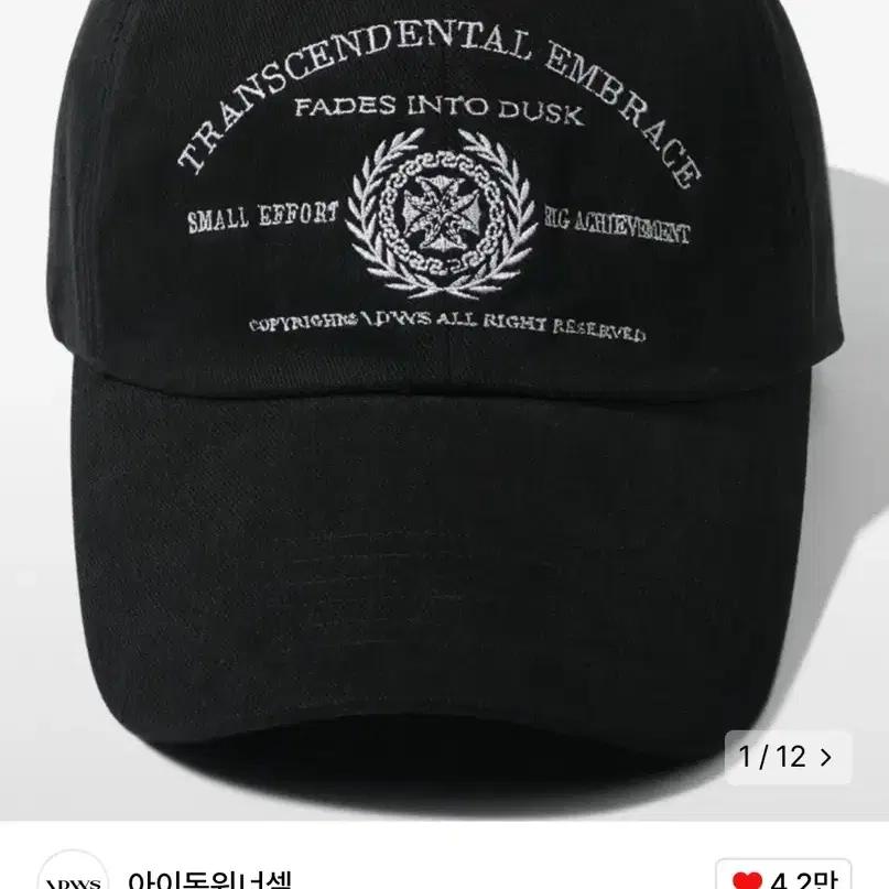 아이돈워너셀 볼캡 Saga Leaf Maxi Cap Black