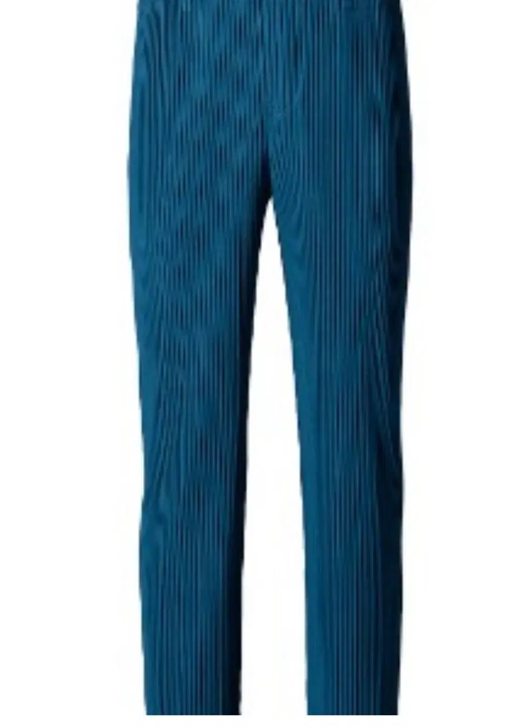 Homme Plissé (size 1) Pants JF184 May 2024 Munsley