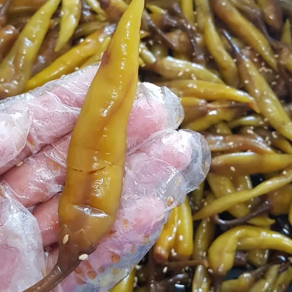 고추 장아찌 1/2KG