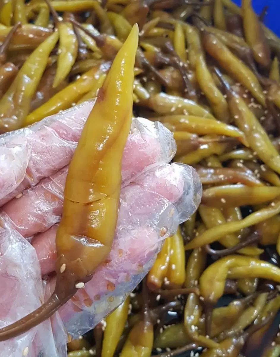 고추 장아찌 1/2KG