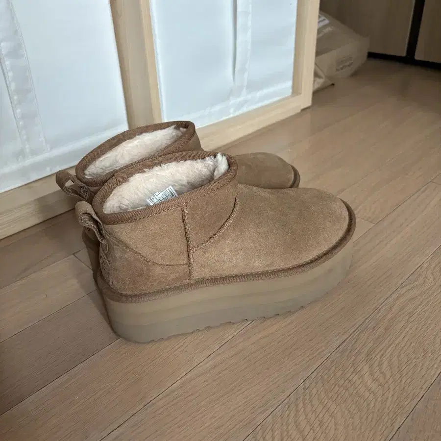 어그 미니 (체스넛) Ugg mini chestnut