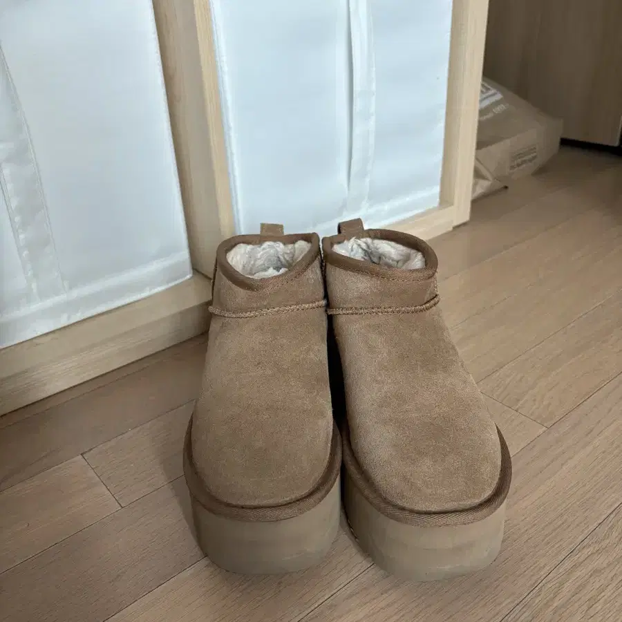 어그 미니 (체스넛) Ugg mini chestnut