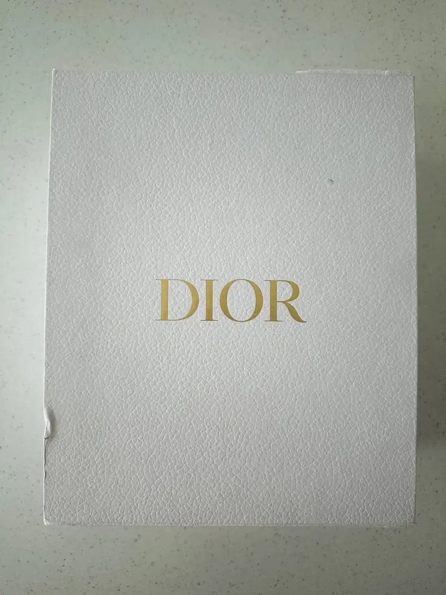 Dior Tote Phone Bag