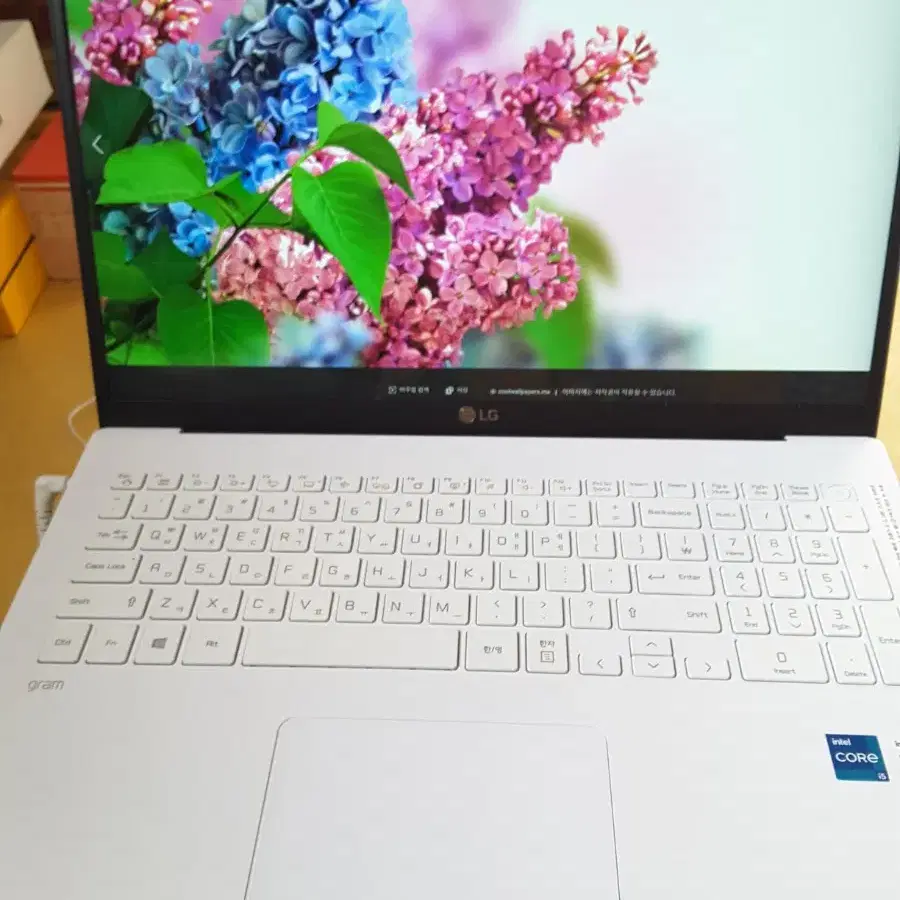 LG그램 17Z95N-GP50ML i5-1135G7