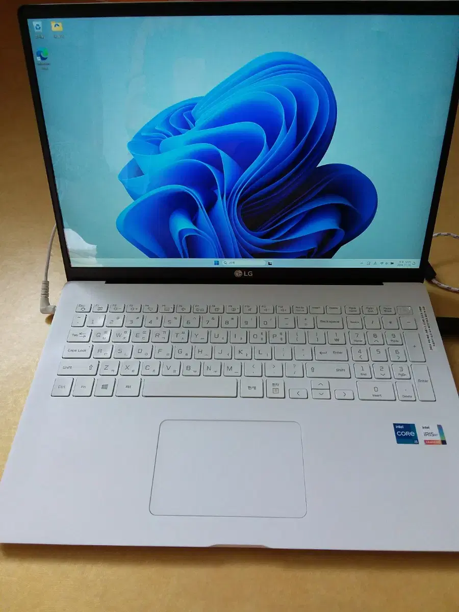 LG그램 17Z95N-GP50ML i5-1135G7