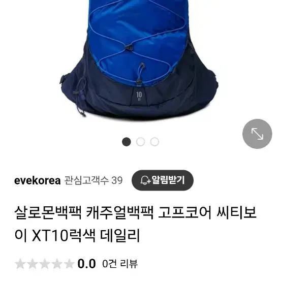 살로몬백팩 캐주얼백팩 고프코어 씨티보이 XT10럭색 데일리