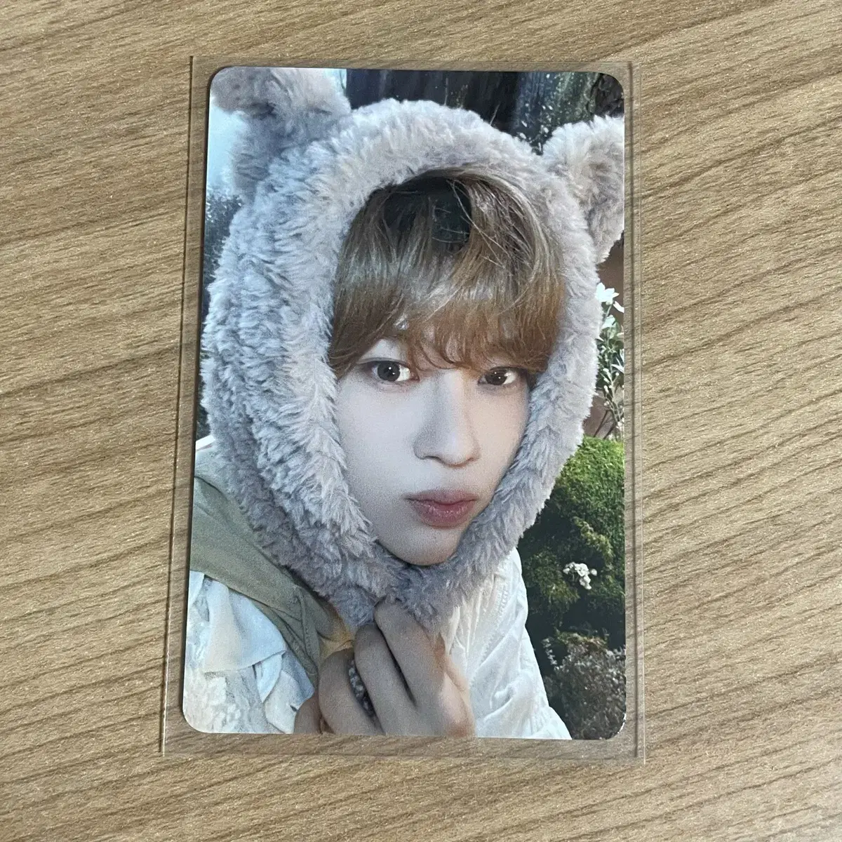 NCT Wish sion Japan Membership Photocard