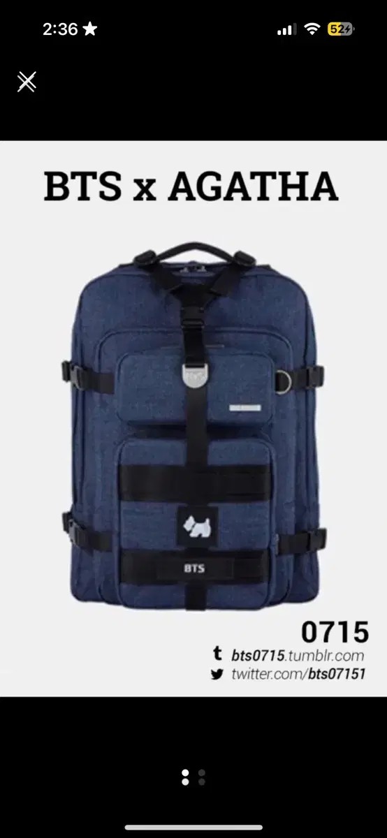 Agata X bts BTS Collaboration limited edition Travel Backpack Travel Bag