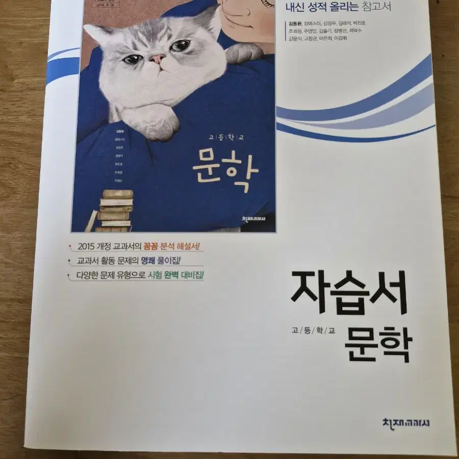 천재교과서 자습서 고등학교 문학