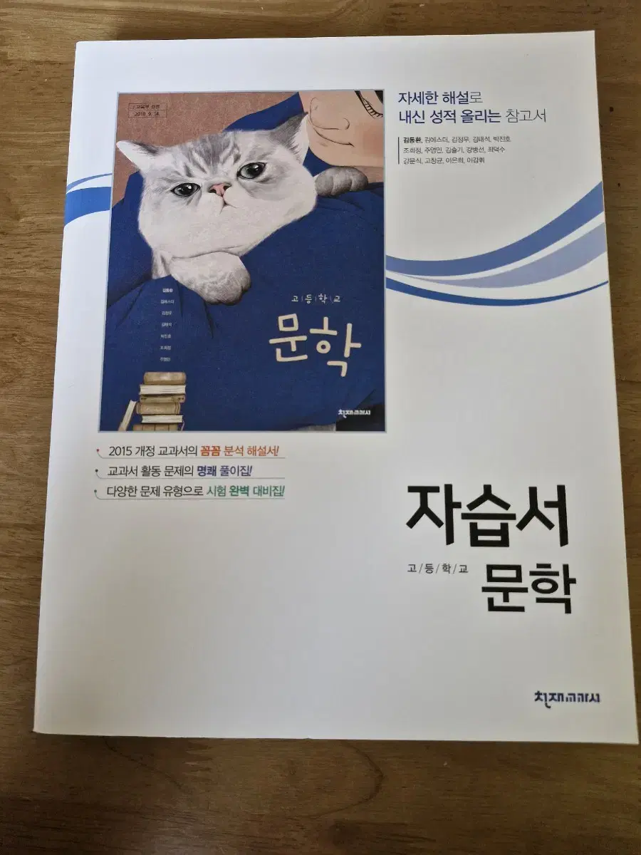 천재교과서 자습서 고등학교 문학