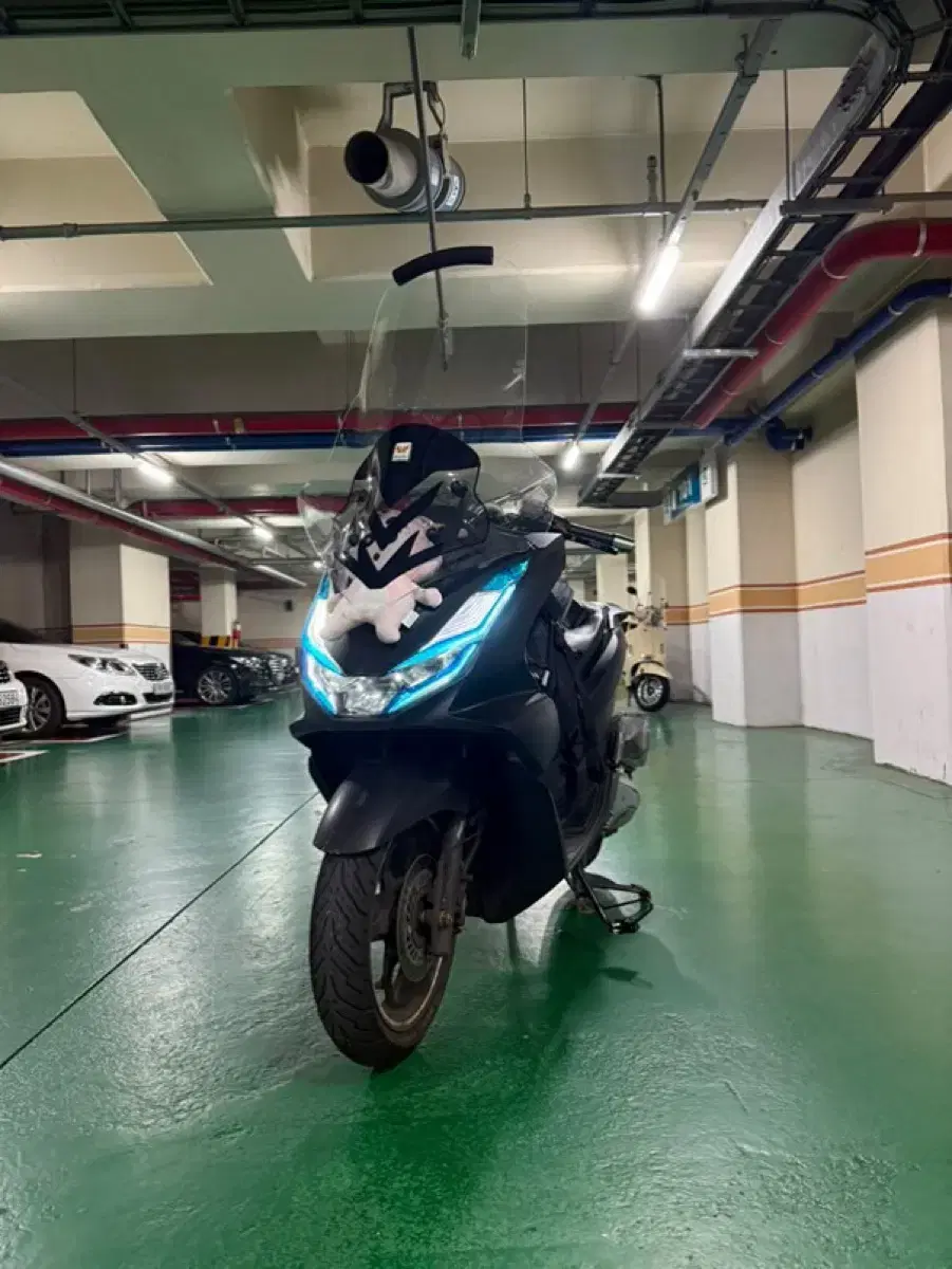 pcx125 22년식 대차 OK