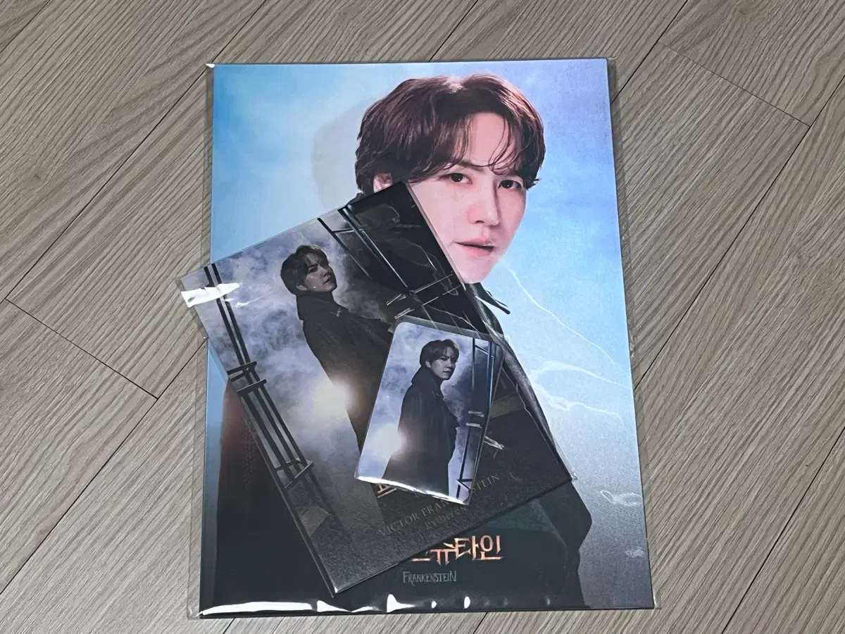 Frankenstein Franken kyuhyun lenticular + postcard + photocard bulk WTS