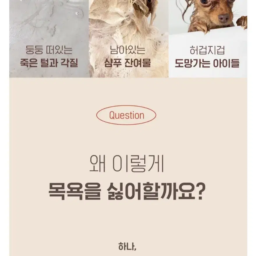 아르르 반려동물 퓨어워시 필터샤워기