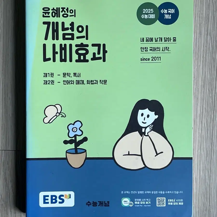 윤혜정 개념의 나비효과