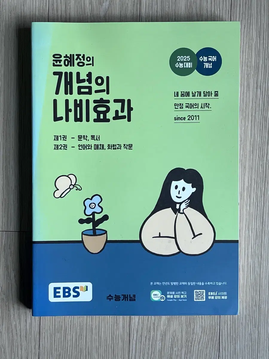 윤혜정 개념의 나비효과