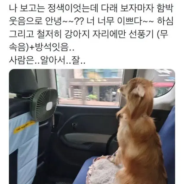 카카오T펫 반려동물 이동서비스 차량