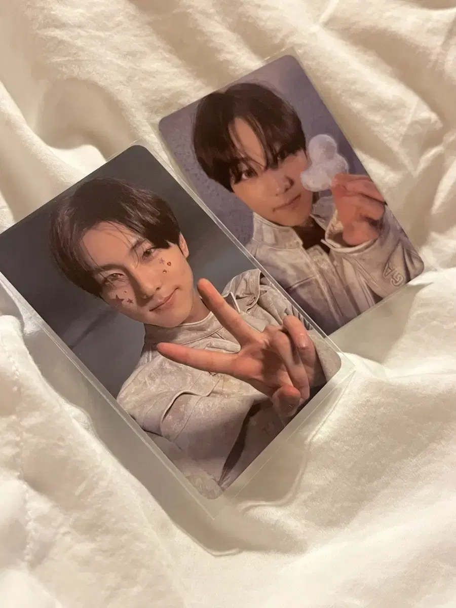 enhypen jungwon daydream photocard bulk wts