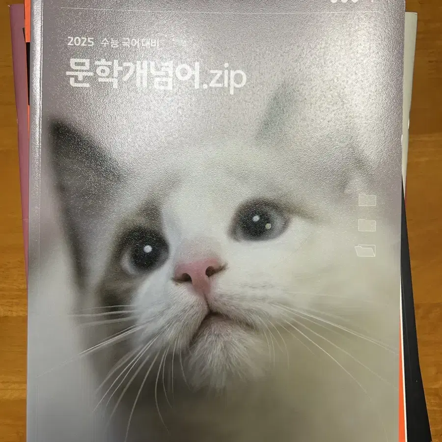 전형태 문학개념어 zip