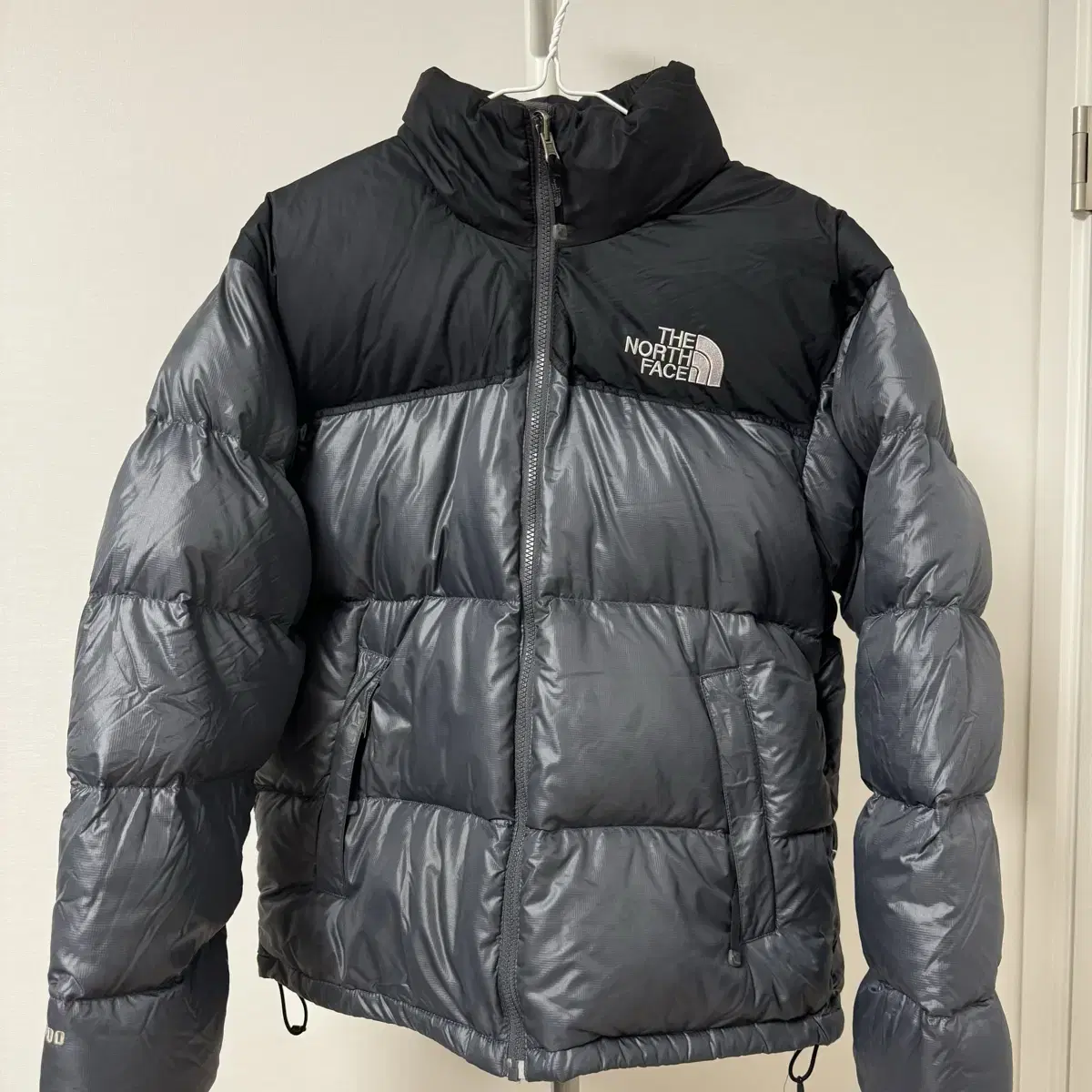 The North Face Nupsi 700 Review (95)