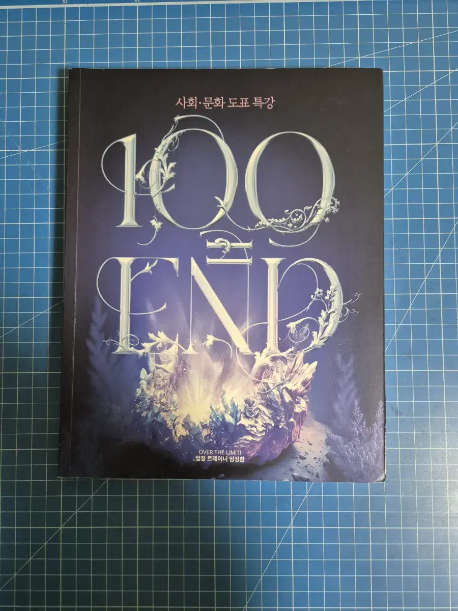 임정환 100END(사회문화도표특강)