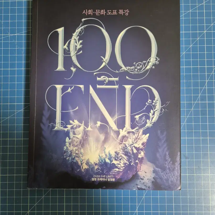 임정환 100END(사회문화도표특강)