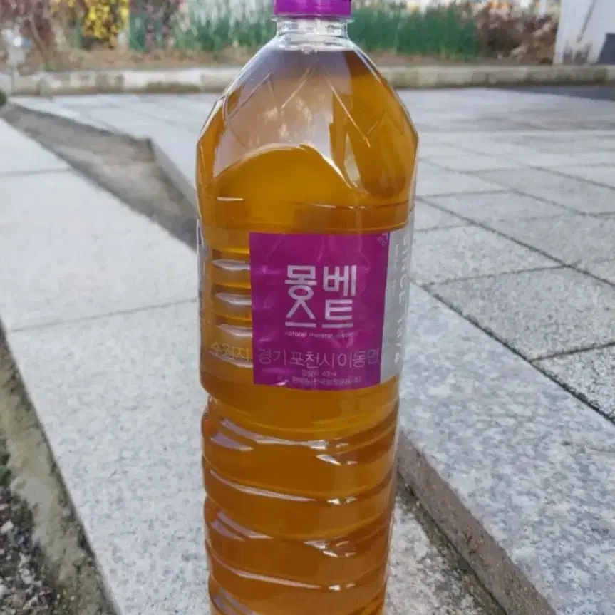 들기름 한 병 (들깨 한말 짠 분량)