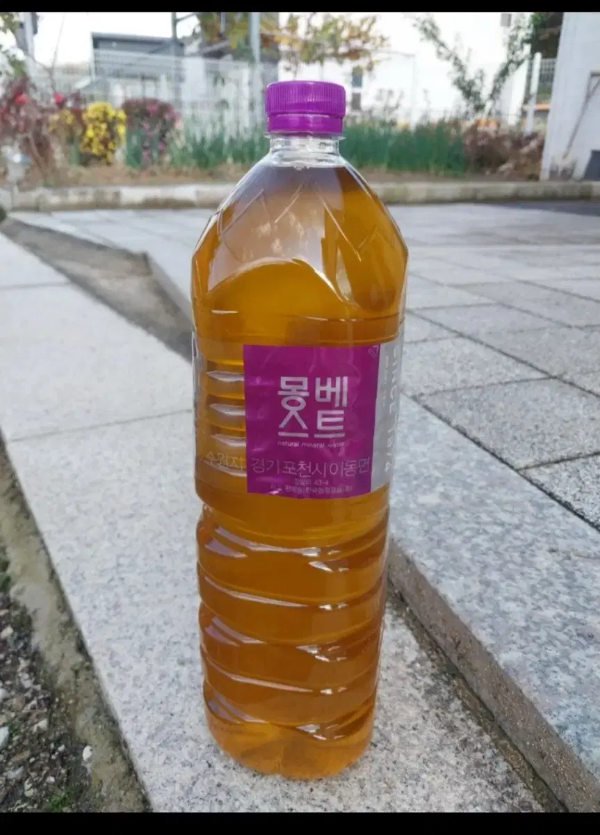 들기름 한 병 (들깨 한말 짠 분량)