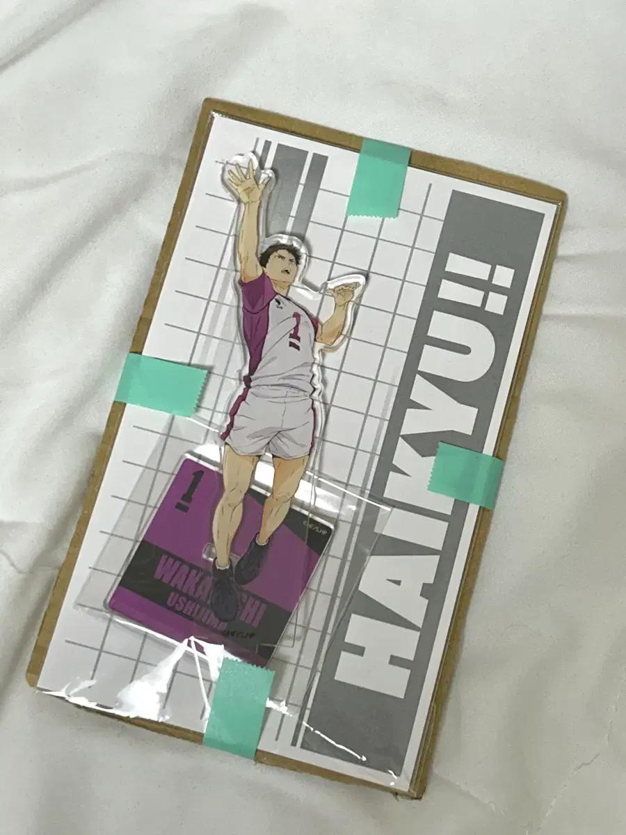 Ushijima acrylic