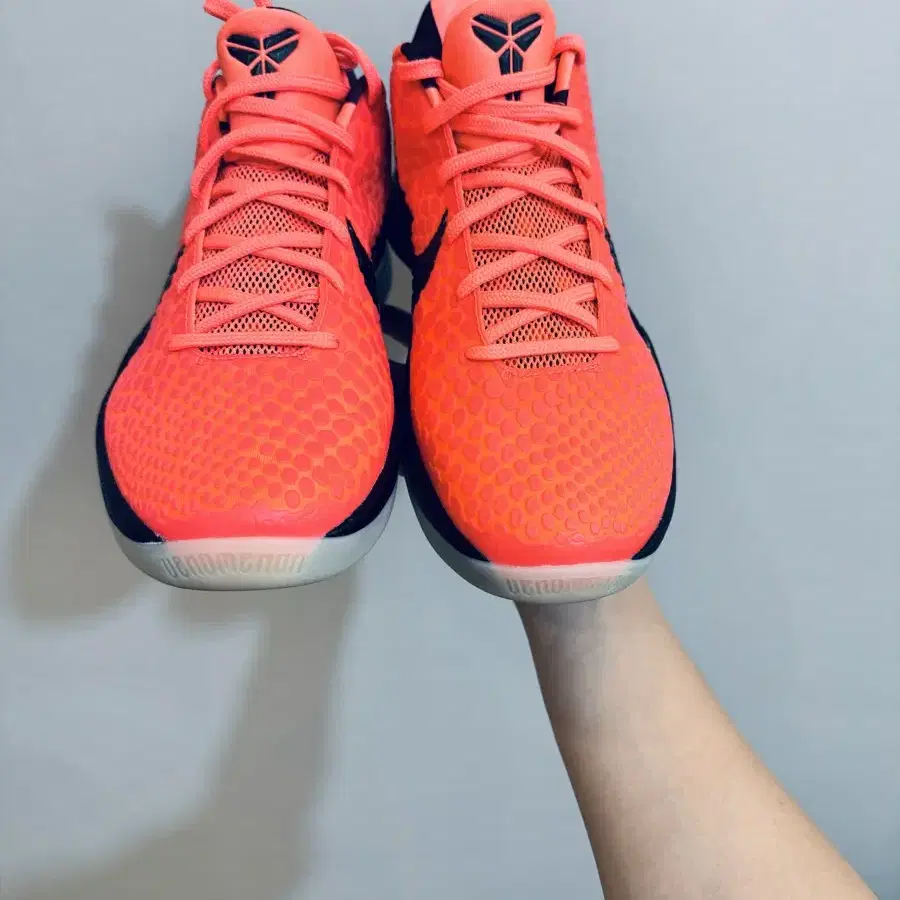 나이키 코비6 OG Kobe 6 FC Barcelona Mango