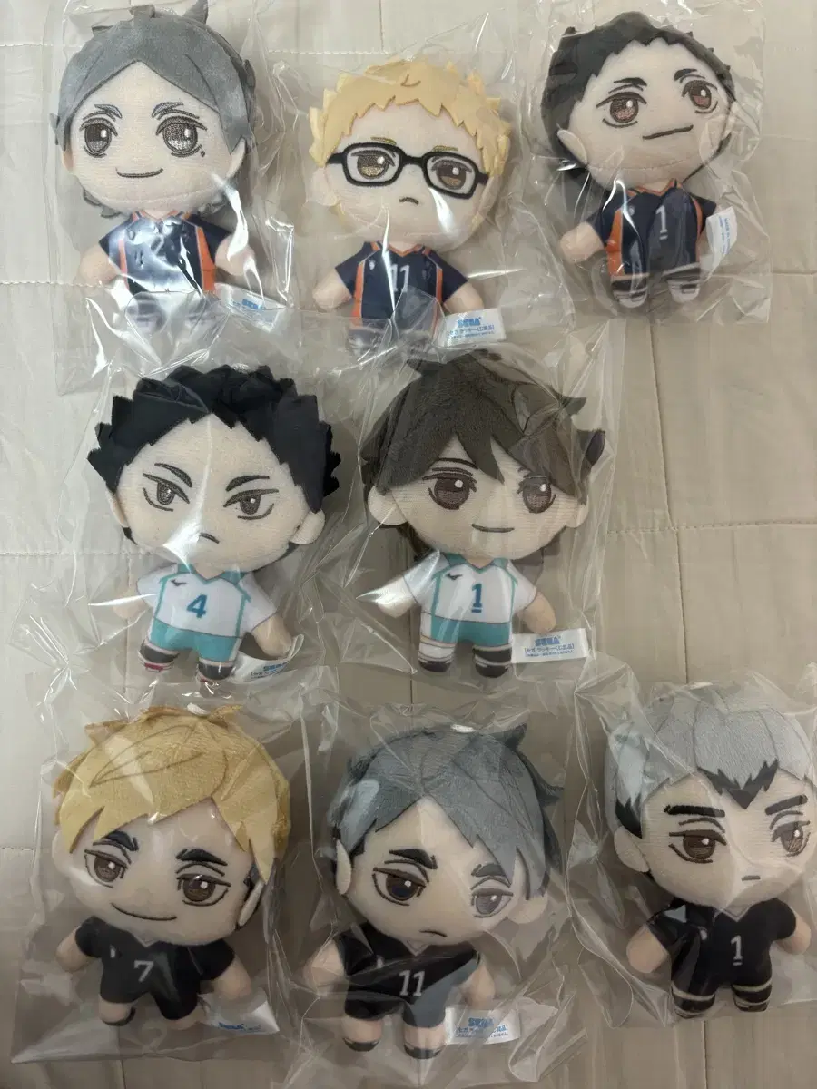 Haikyuu Sega Lucky Kuji B-san Nui