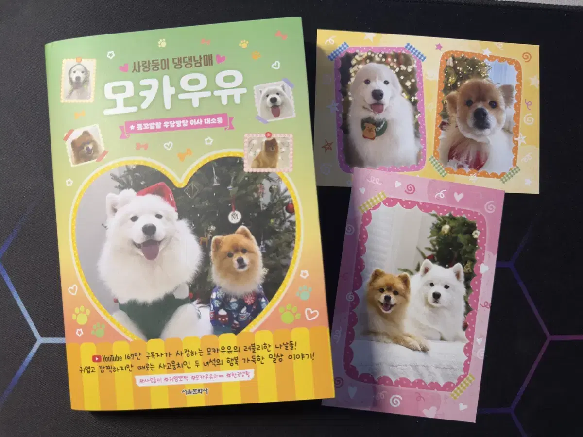 신간 [사랑둥이 댕댕남매 모카우유 2]+엽서2