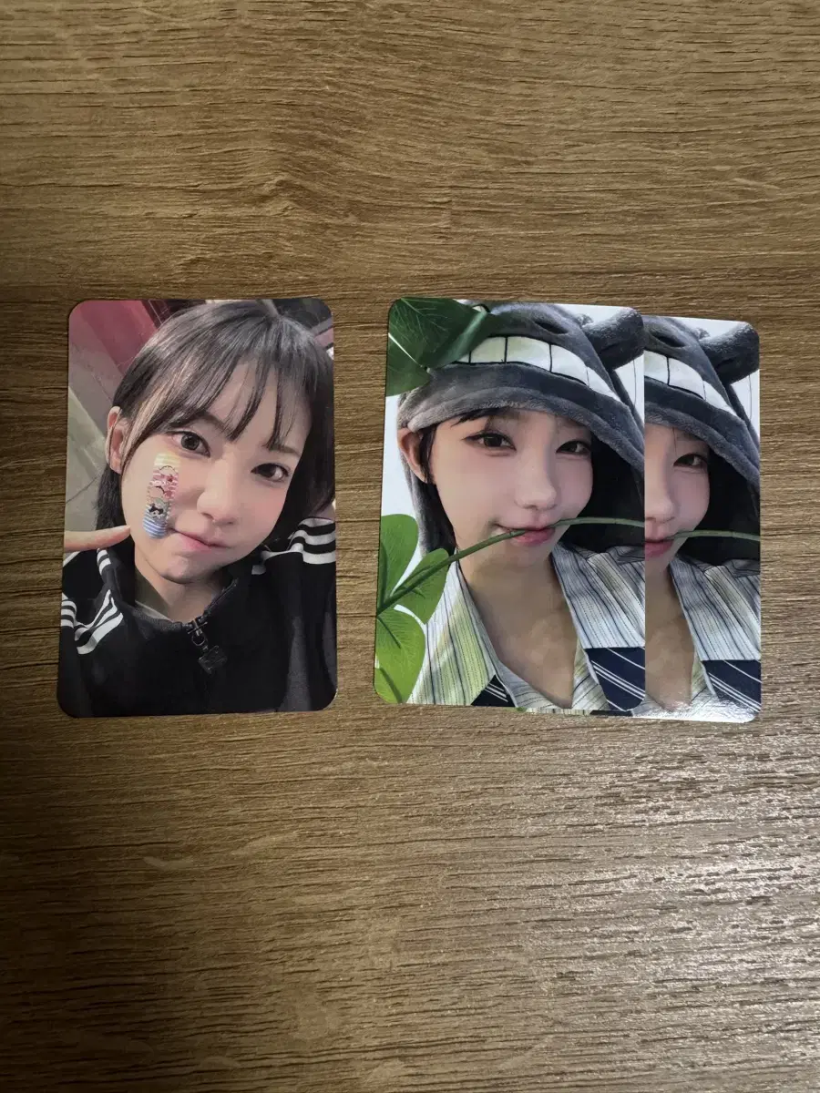 QWER Magenta unreleased photocard photocard Sells