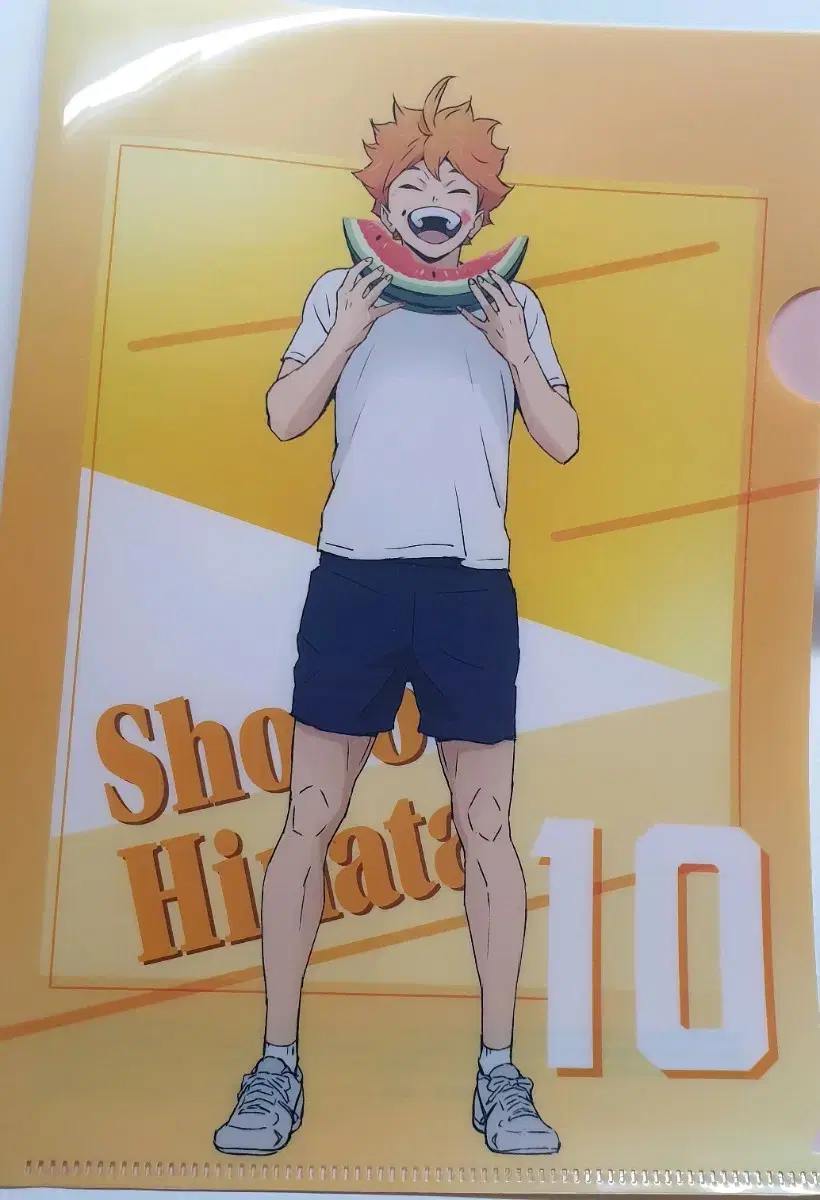 Haikyuu hinata Shoyo Clear File