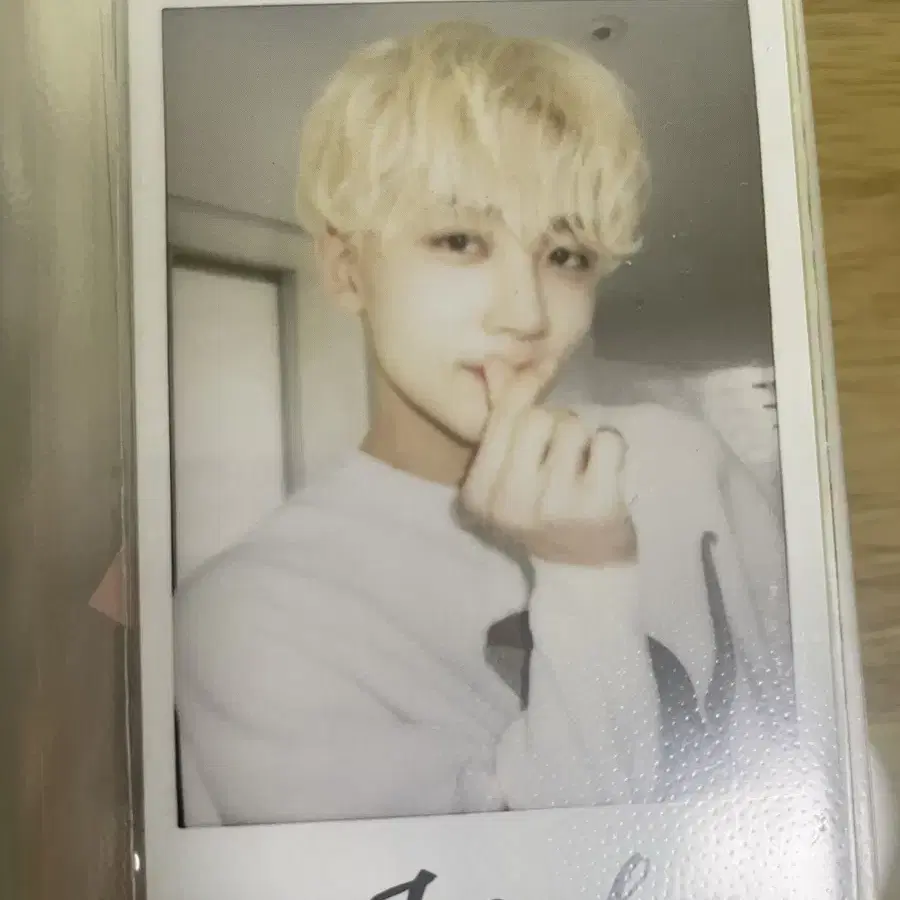 세븐틴 정한 울싶않 al1 양도