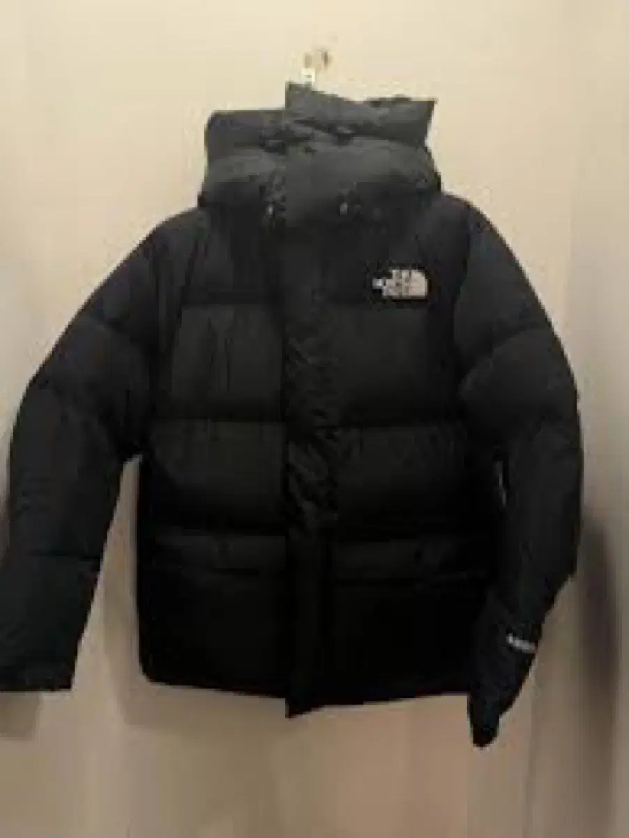 The North Face Power Down Laysey Down (Japanese Edition)