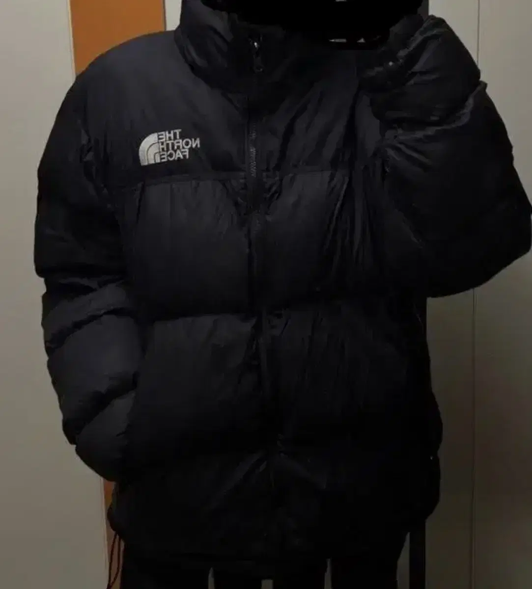 The North Face Nopsi Puffer Jacket L (size,Other items can be communicated through lew)