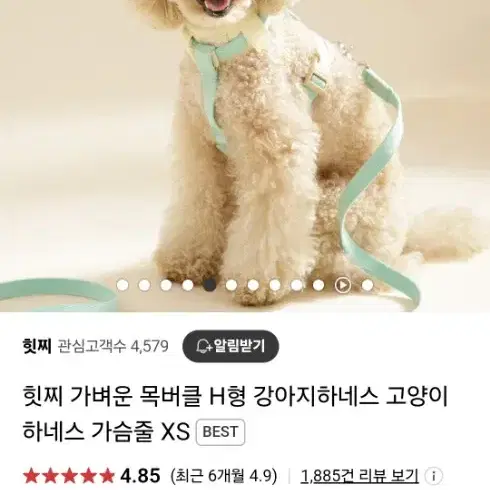 강아지 하네스 핑크 .미사용